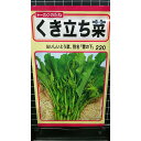くき立ち菜 雪の下 とう菜 種 種 種子 トーホク