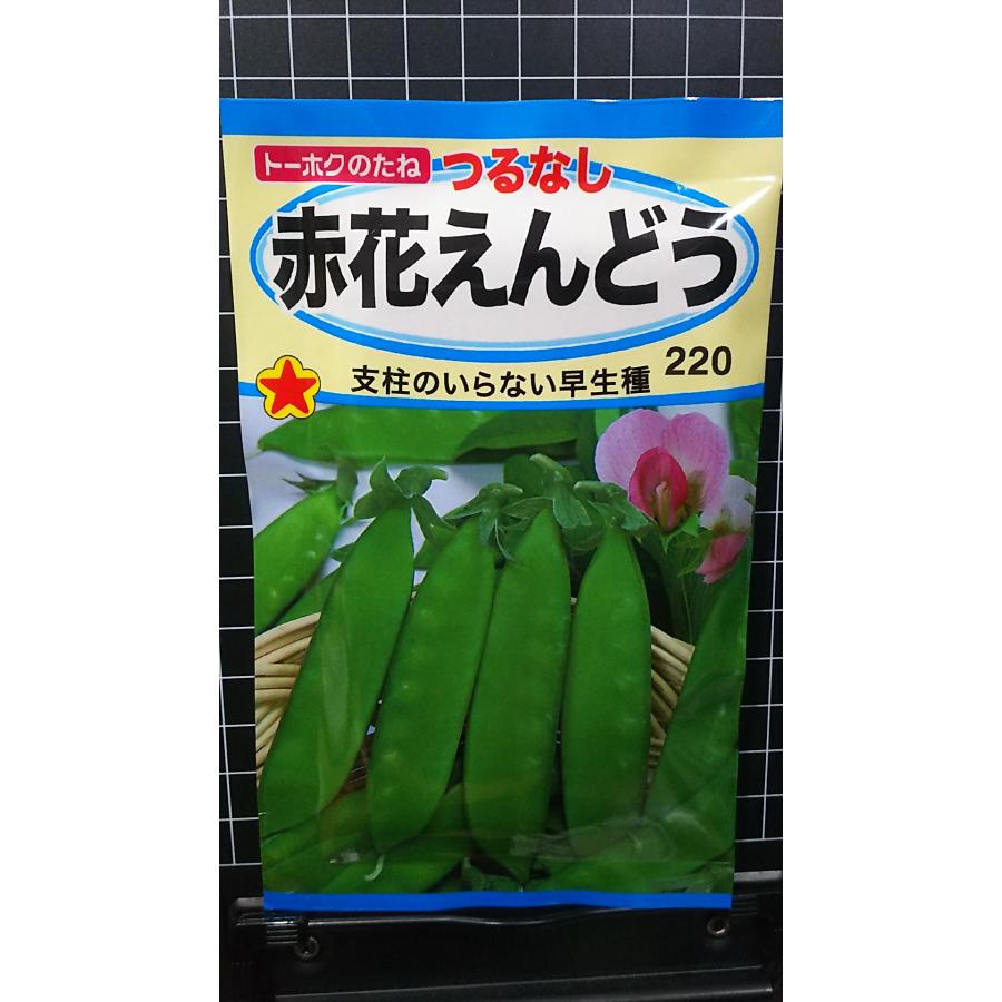 つるなし 赤花 えんどう 早生 種 種子 トーホク