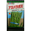 アスパラガス アスパラ 種 種子 トーホク