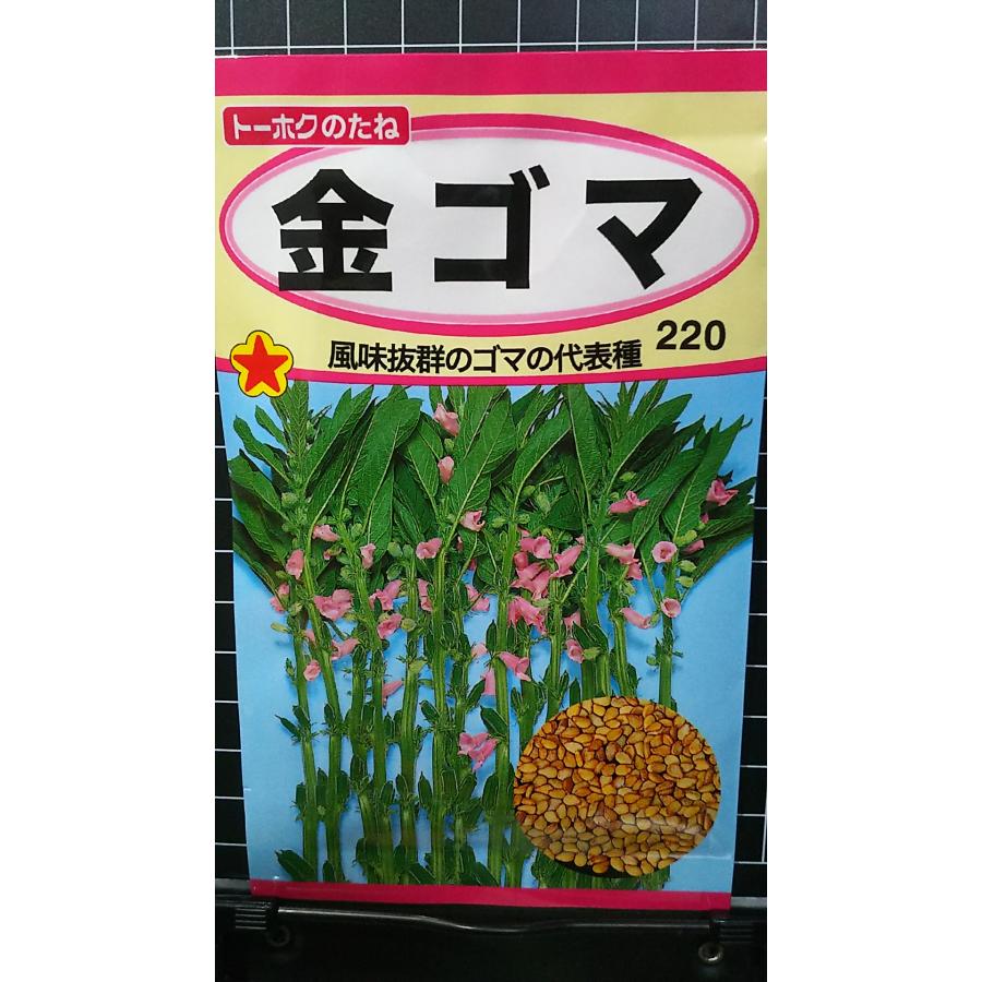金ゴマ ごま 種 種子 トーホクのサムネイル