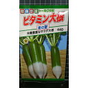 ビタミン 大根 青の蜜 ダイコン 種 種 種子 トーホク