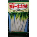 根深 一本 太 ねぎ 白扇 フトネギ 葱 種 種 種子 トーホク