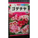 ゴデチャ 種 種子 トーホク