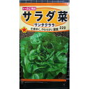 サラダ菜 サンタクララ サラダナ 種 種子 トーホク