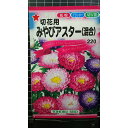 みやび アスター 切花用 混合 種 種子 トーホク