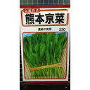 熊本 京菜 青菜 種 種 種子 トーホク