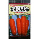 七寸 にんじん 紅華 人参 種 種子 トーホク