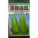 沼目 白瓜 漬物用 ぬまめ シロウ リ 種 種子 トーホク