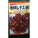 焼肉用 レタス 赤 チマサンチ チマサンチュ チマサンテ リーフ 種 種子 トーホク