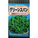 グリーン スパン リーフレタス 種 種子 ウタネ