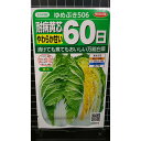 白菜 ゆめぶき 506 60日 耐病 黄芯 種 種子 サカタのタネ