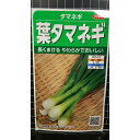 葉 タマネギ 玉ねぎ 種 種子 サカタのタネ