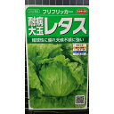 レタス 耐病 大玉 フリフリッカー 種 種子 サカタのタネ