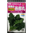 寒締め 吾郎丸 日本系 ほうれん草 ホウレンソウ 種 種子 サカタのタネ