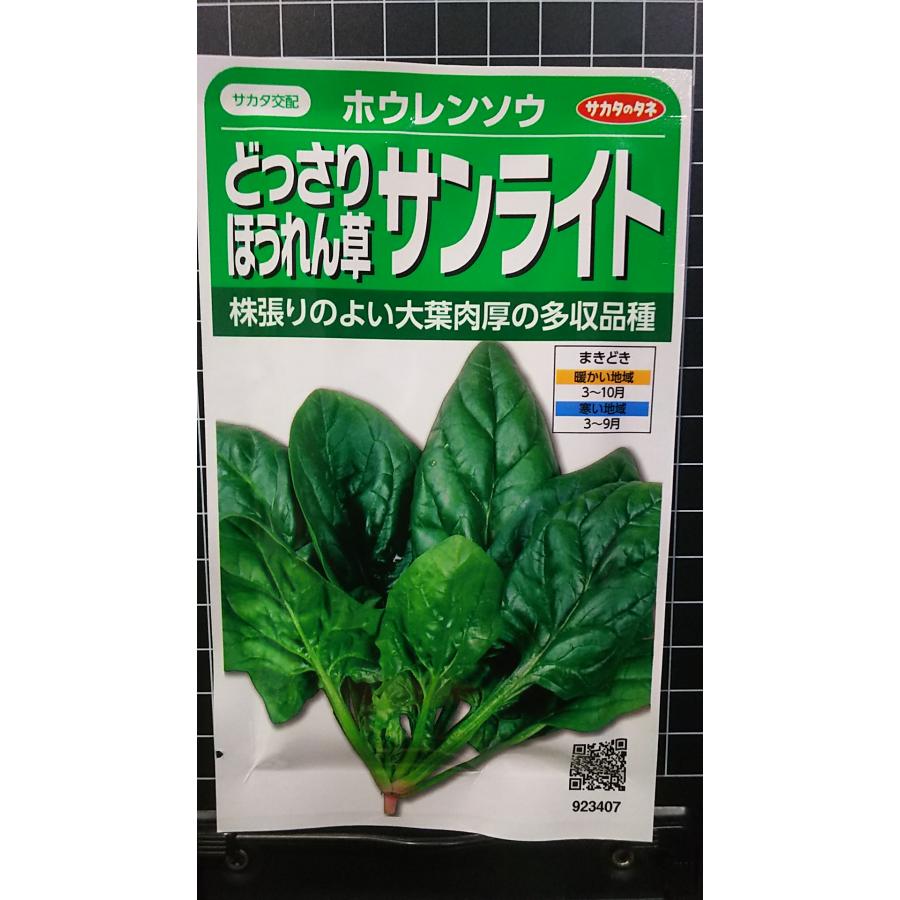 どっさり サンライト ほうれん草 ホウレンソウ 種 種子 サカタのタネ