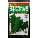 日本 ほうれん草 ホウレンソウ 種 種子 サカタのタネ