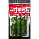 一寸 そら豆 1寸 ソラマメ 大粒 種 種子 サカタのタネ