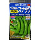つるなし スナック 2号 早どり 種 種子 サカタのタネ