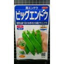 つるなし ビッグ エンドウ 絹さや 種 種子 サカタのタネ