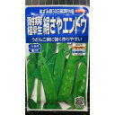 つるあり 極早生 絹さや エンドウ あずみ野30 種 種子 サカタのタネ