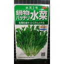 水菜 鍋物 バッチリ 水天2号 種 種子 サカタのタネ