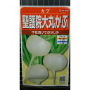 聖護院 大丸 かぶ 丸かぶ 種 種子 サカタのタネ