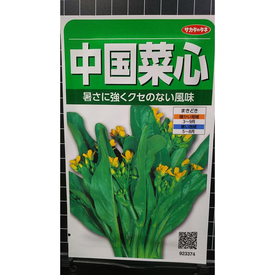 中国菜心 チュウゴクサイシン 中国野菜 種 種子 サカタのタネ