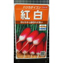 はつか 大根 紅白 ハツカ 20日 ダイコン ラディッシュ 種 種子 サカタのタネ