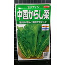 中国 からし菜 カラシナ セリフォン ツケナ 種 種子 サカタのタネ