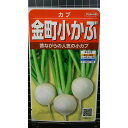 金町 小 かぶ 小かぶ コカブ 種 種子 サカタのタネ