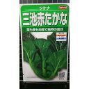 三池 赤 たかな 高菜 ツケナ種 種子 サカタのタネ