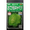 おてがる キャベツ 金系201号 種 種子 サカタのタネ