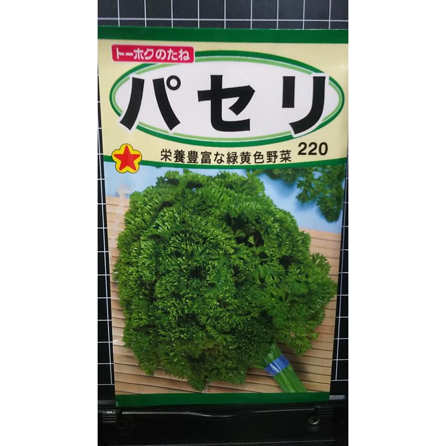 パセリ parsley ハーブ 種 種子 herb トーホク