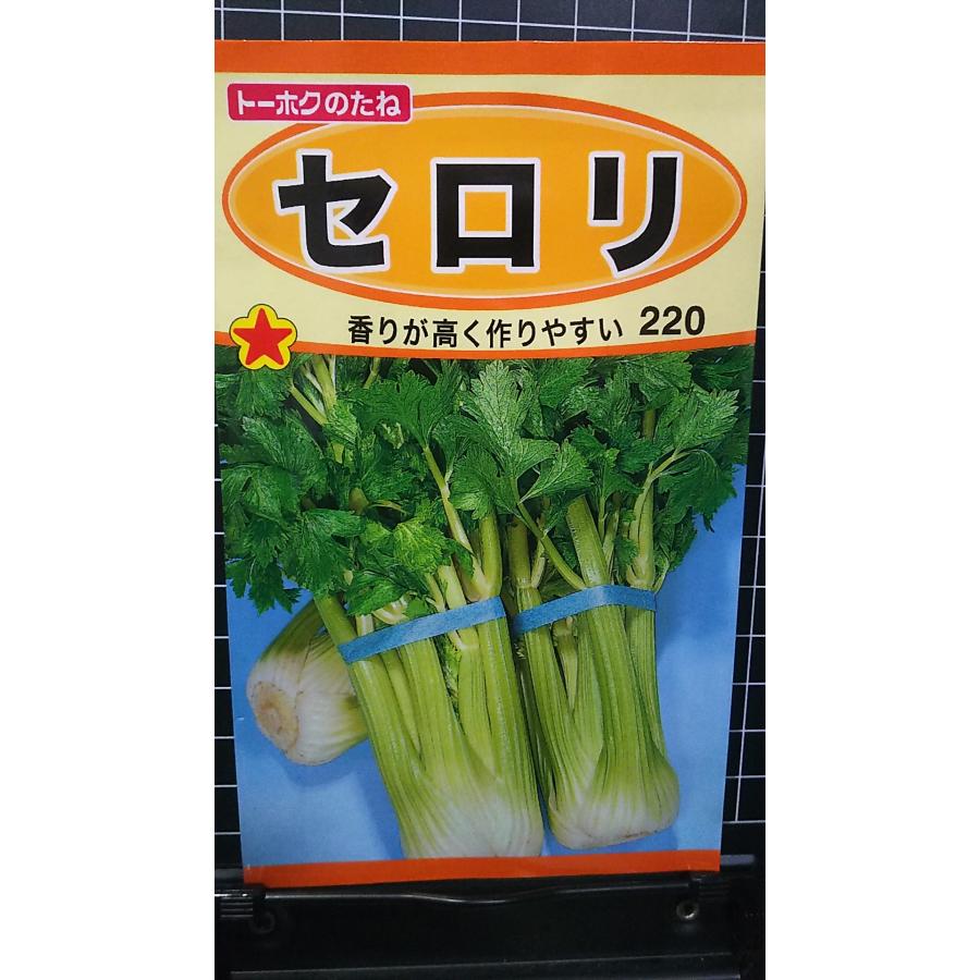 セロリ 種 種 種子 トーホク
