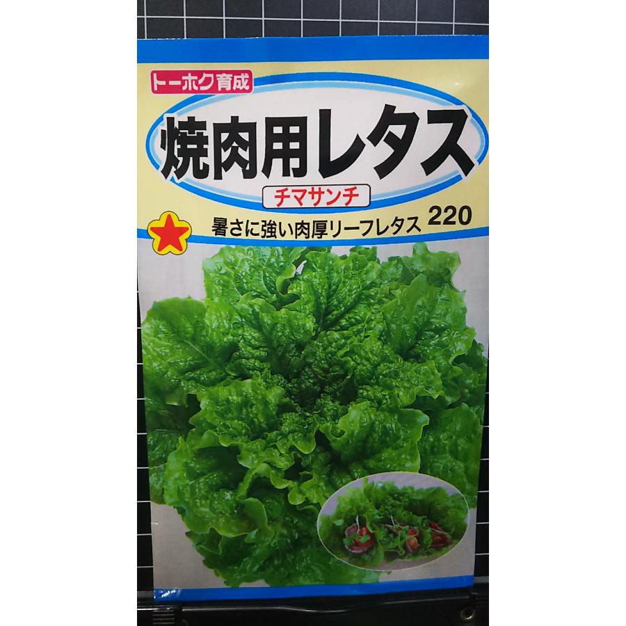 焼肉用 レタス チマサ