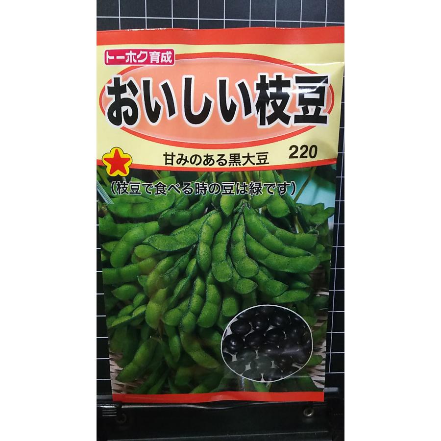 Τ˼Ź㤨ֹƦ  Ʀ ޤ    ȡۥפβǤʤ220ߤˤʤޤ