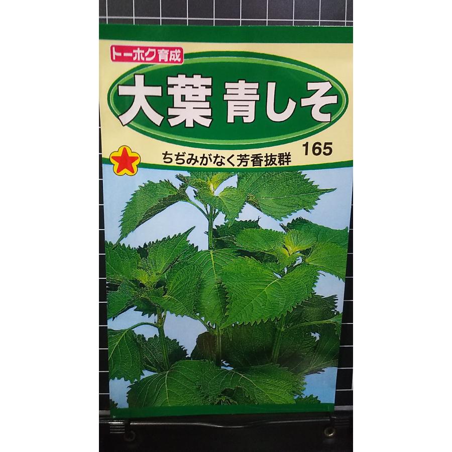 大葉 青 しそ アオシソ 種 種子 トーホク