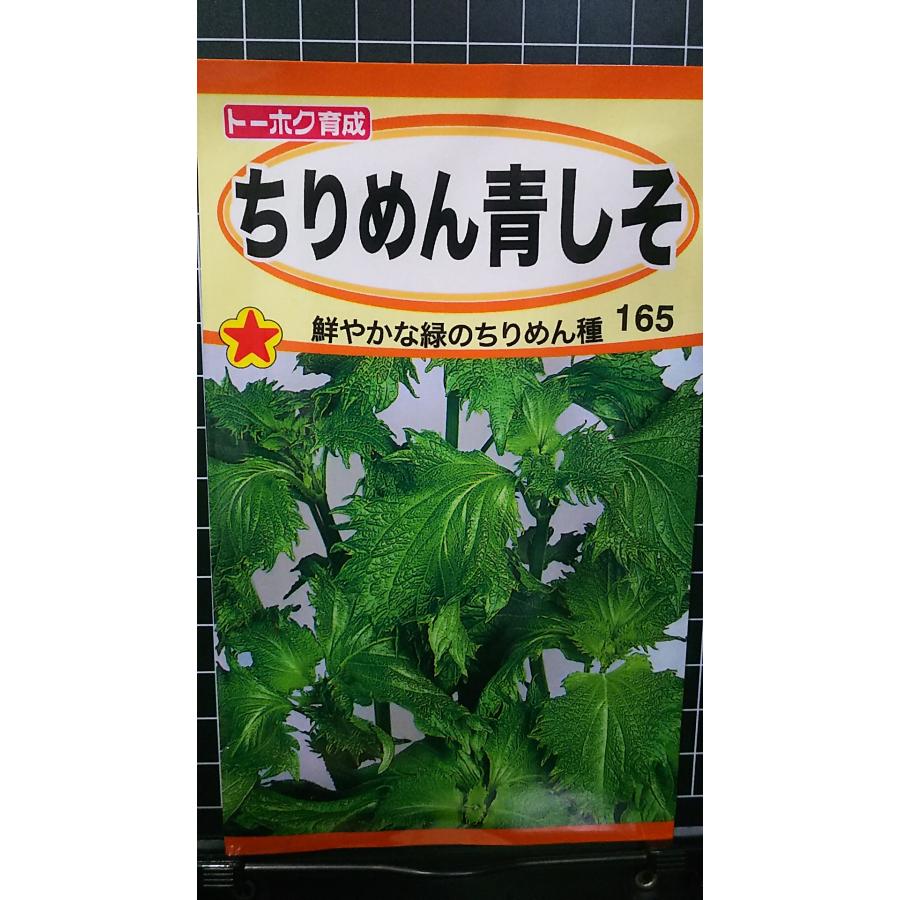 ちりめん 青 しそ アオシソ Blue perilla ハーブ 種 種子 herb トーホク