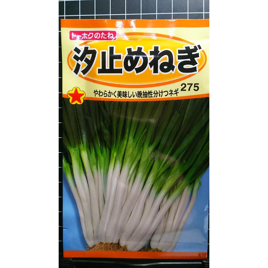 汐止め しおどめ ねぎ ネギ 葱 種 種 種子 トーホク