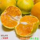 【先行予約 10月上旬以降】ゆら早生 有田 みかん 秀優混み (ご家庭用) 2kg_ 果物 フルーツ 訳あり わけあり 農家直送 産地直送 人気 美味しい 和歌...