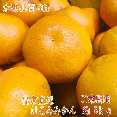 農家直送！紀州和歌山有田の濃厚 はるみ みかん (ご家庭用)　5kg【ノーワックス・ノー防腐剤】【訳あり】【わけあり】【送料無料】のサムネイル