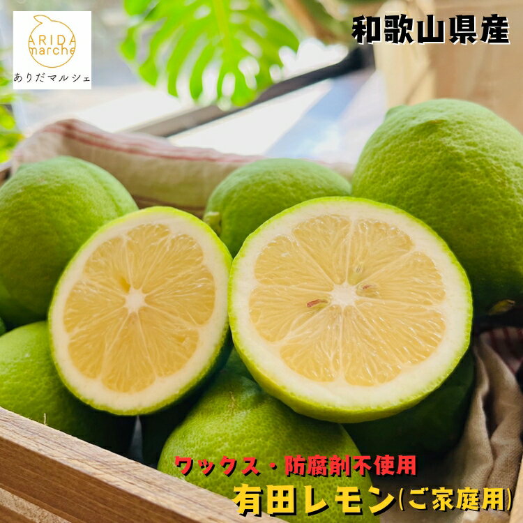 和歌山 有田 レモン (ご家庭用) 1〜10kgまでお好みの内容量が選択可能_ ワックス・防腐剤不使用 檸檬 lemon 果物 フルーツ 農家直送 産地直送 人...