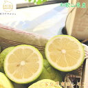和歌山 有田 レモン (ご家庭用) 1~10kgまでお好みの内容量が選択可能_ ワックス・防腐剤不使用 檸檬 lemon 果物 フルーツ 農家直送 産地直送 人気 美味しい 和歌山 和歌山県 送料無料 訳あり わけあり 1kg 2kg 5kg 10kg
