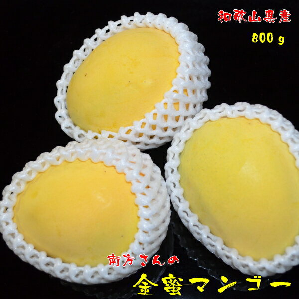【先行予約 9月中旬以降】南方さんの 厳選 金蜜 (きんみつ) マンゴー 約800g(1～2玉入り) _ 送料無料 マンゴー フルーツ 果物 まんごー くだもの 産地直送 人気 美味しい 和歌山 和歌山県産 和歌山市