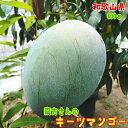 【先行予約 9月下旬以降】南方さんの 厳選 キーツ マンゴー 約800g(1~3玉入り)_ 送料無料 マンゴー フルーツ 果物 まんごー くだもの 産地直送 人気 美味しい 和歌山 和歌山県 和歌山市