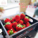 【エントリーでポイント10倍】【先行予約 2026年1月中旬以降】中山さんの 朝採り 完熟 まりひめ いちご 300g×2パック・4パックのお好みの内容量が選択可能_ 和歌山オリジナルブランド ギフト 農家直送 産地直送 人気 美味しい 苺 イチゴ フルーツ 和歌山県産 送料無料