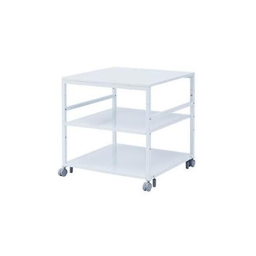 エスコ 700x700x700mm プリンターラック(キャスター付) EA954-433:サプライ 型番:LPS-T7070注意:お客様組立品 梱包/個口数(個):1サイズ(W×D×)mm:700×700×700~720 材質:スチール(エポキシ樹脂粉体塗装)総耐荷重:100kg 重量:20.7kgキャスター:自在(ストッパー付)×2、自在×2 アジャスター付