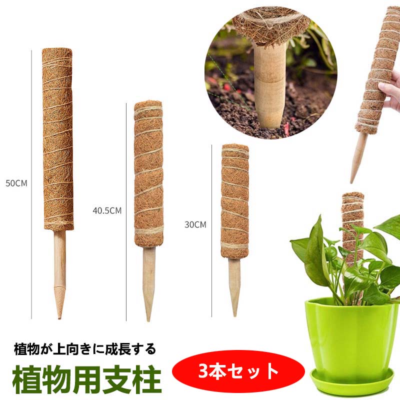 モンステラ 支柱 ココスティック 観葉植物 支柱 園芸支柱 植物 ガーデニング用 花ささえ ココナッツ支柱 植物サポート つる性植物 トマ