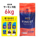 ★お得なおまけプレゼント中★［正規品］フィッシュ4ドッグ ファイネスト サーモン 小粒 6kg≪5056008807818≫犬 ペットフード ドックフード フード 餌 えさ ごはん 犬用品