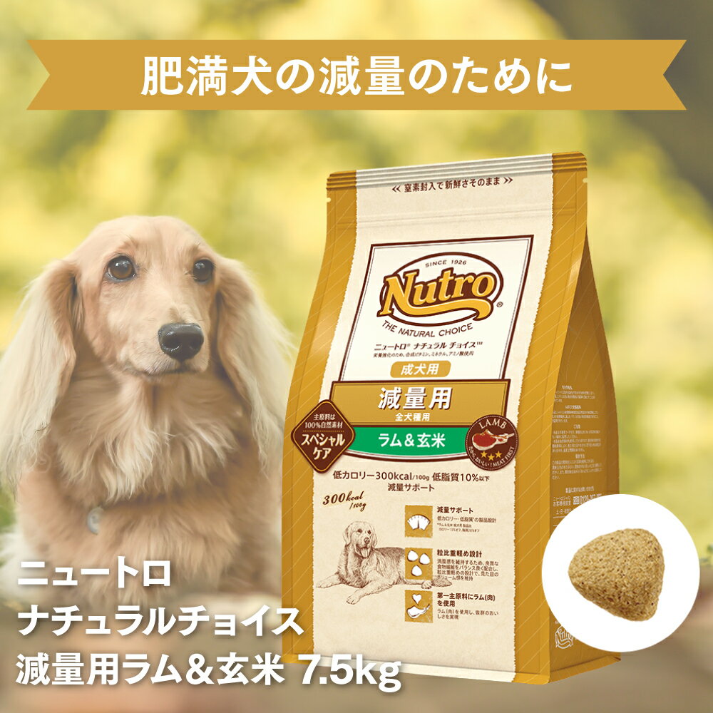 ニュートロ シュプレモ 中型犬〜大型犬用 成犬用 17.5kg